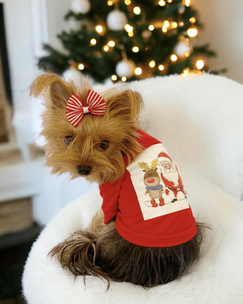 Santa and Friend Rudolph Köpek Tişörtü Yılbaşı Noel Christmas Köpek Elbisesi