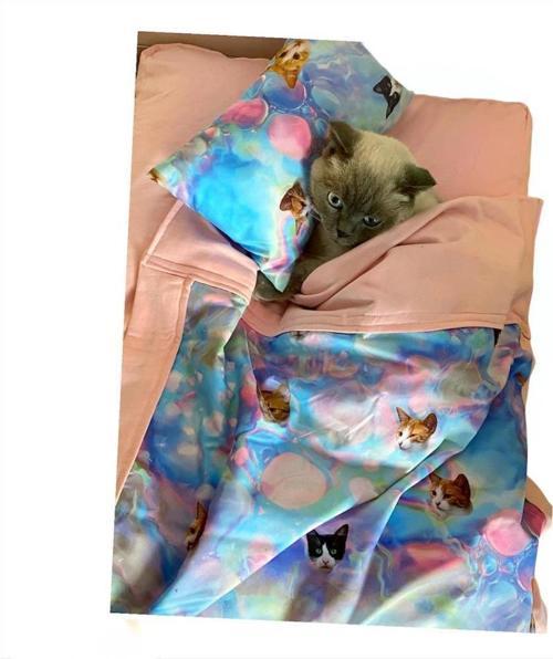 Cats Kedi Minderi Uyku Takımı Minder Yastık Örtü Set
