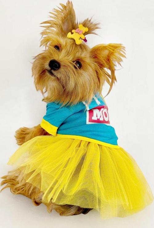 BLUE Love Mom Tütülü Köpek Elbisesi,  Kıyafeti Tutu