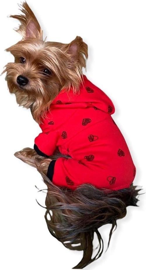 Darky Hearts Kırmızı Kapşonlu Penye Köpek Tulumu