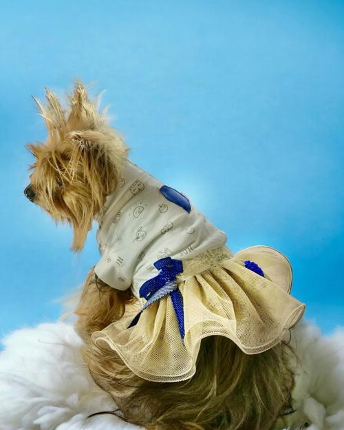 Navy Creamy Tütülü Köpek Elbisesi, Kıyafeti Tutu