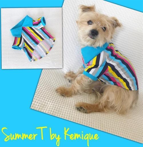 MAVİ GÖKKUŞAĞI Polo Yaka Tişört Summer T Köpek Kıyafeti,Elbisesi