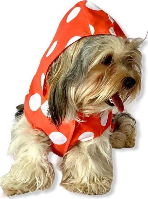 Puantiyeli Turuncu Yağmurluk Kapşonlu  Köpek Yağmurluğu 