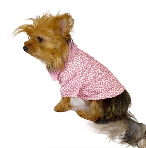 Pink Leo Cutie Polo Yaka Tişört Köpek Kıyafeti Köpek Elbisesi
