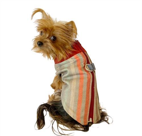 Stripe Bordo Su itici Yağmurluk Köpek Yağmurluğu 