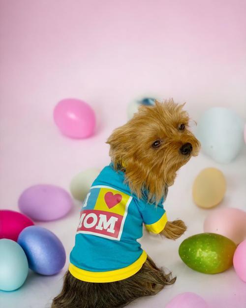 Hediye Paketli, Anneye Hediye, Love Mom Blue, Oval Yaka Tişört Köpek Kıyafeti,Elbisesi Anneler Günü, Anneye, Anne 