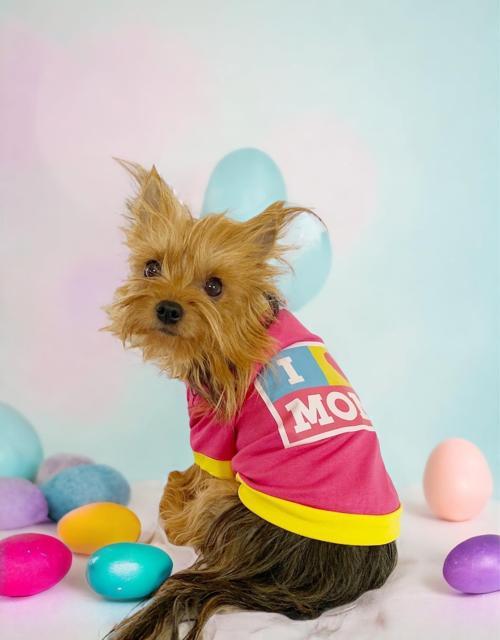Hediye Paketli, Anneler Günü, I Love Mom Pink,Oval Yaka Tişört Köpek Kıyafeti,Elbisesi Anneler Günü, Anneye, Anne 