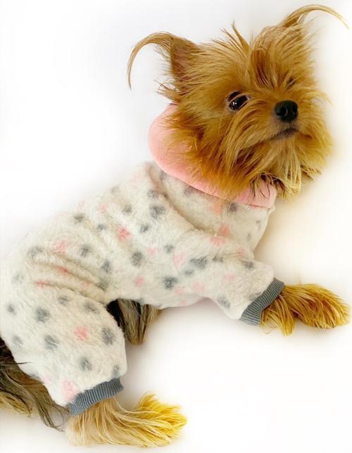 Softie Spotty Pink Köpek Tulumu Köpek Kıyafeti
