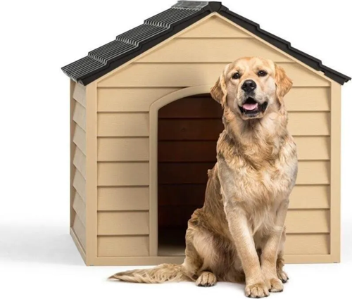 Şenyayla Köpek Kulübesi Bitter