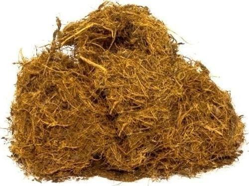 Meyan Kökü 35 Gr (Paket-Bitki) 1Adet