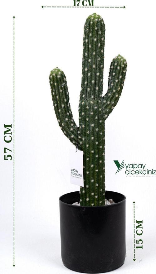 Taş Kaplı Siyah Saksısında Yapay Texas Kaktüs