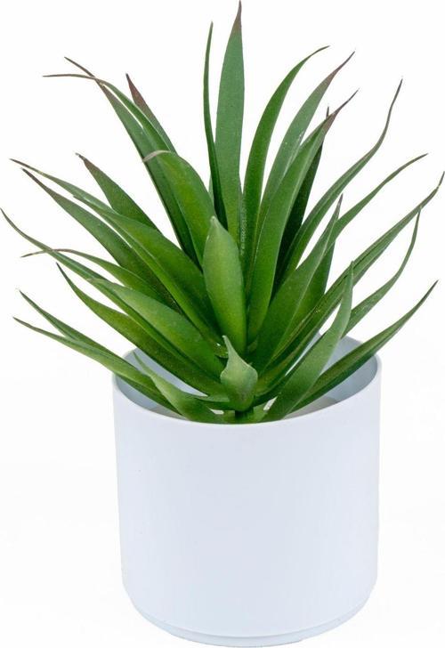 Beyaz Renkli Saksıda Yapay Kaktüs Sukulent