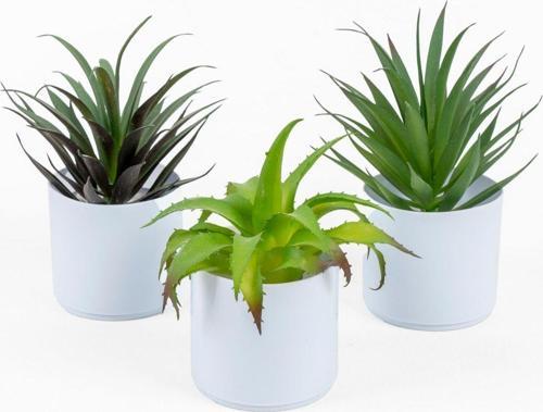 Beyaz Renkli Saksıda Yapay Kaktüs Sukulent