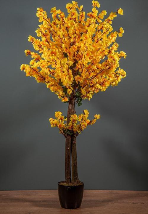 120 Cm Sarı Bahardalı Ağacı