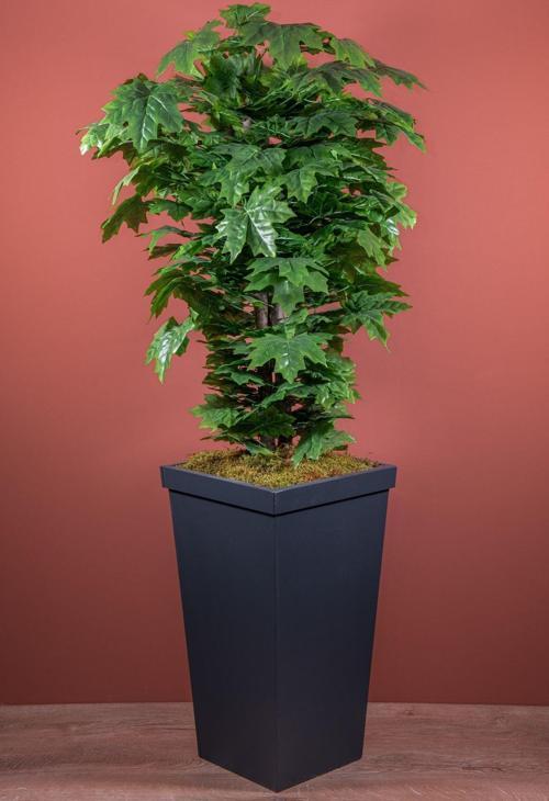 140 Cm Yeşil Çınar Ağacı
