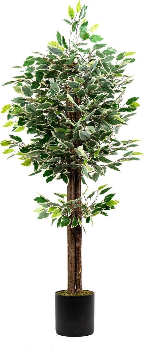 120 Cm Yeşil Beyaz Yapay Benjamin Ağacı