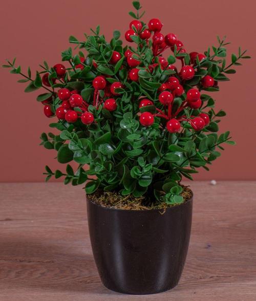 Siyah Saksıda Yapay Kokina Ağacı