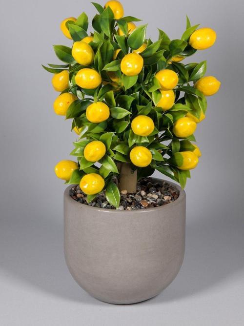 Gri Beton Saksıda Yapay Limon Ağacı