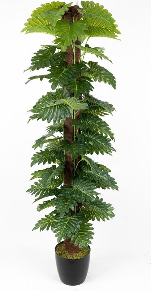 Yapay Monstera Ağacı 150 Cm