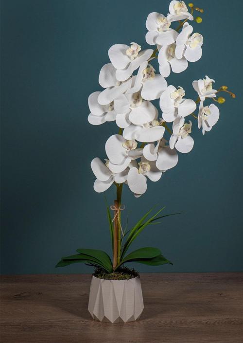 Seramik Saksıda 2 Dal Beyaz Islak Orkide