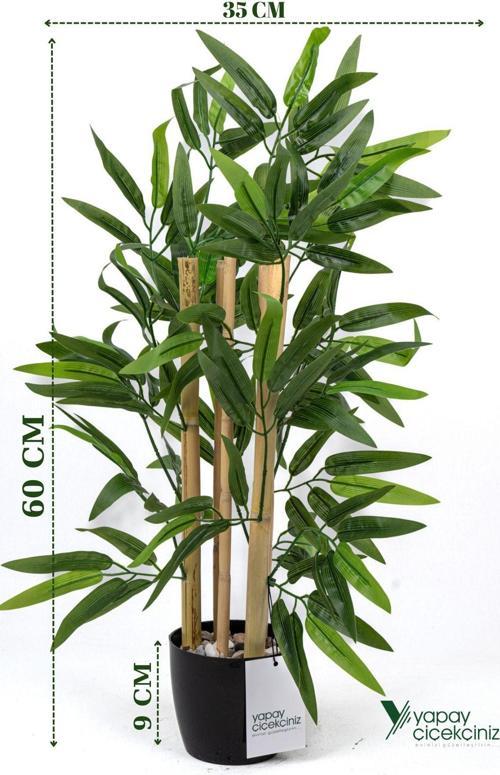 Taş Detaylı Saksıda 60 Cm Yapay Bambu Ağacı
