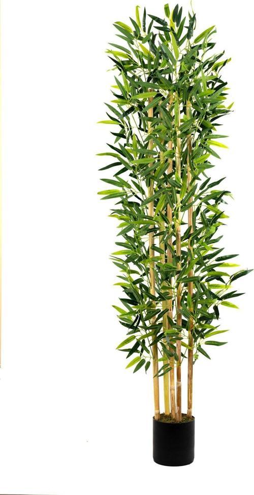 5 Gövdeli Yoğun Yapraklı 150 Cm Yapay Bambu Ağacı