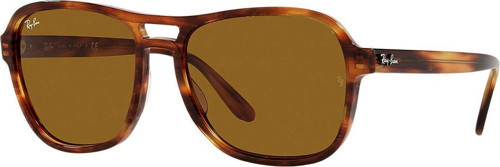 RB4356 954/33 58 Unisex Güneş Gözlüğü