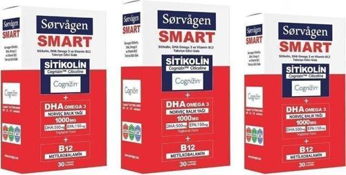 Smart Sitikolin Dha Omega 3 Ve B12 30 Kapsül X 3