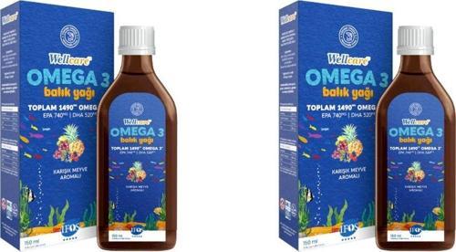 Omega 3 Fish Oil Karışık Meyve Aromalı Balık Yağı 150 Ml 2 Kutu