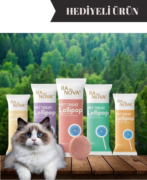 5'li Malt Destekli Kedi Lolipop'u Oyuncak Hediyeli Kedi Ödülü Kedi Vitamini