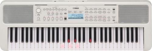 EZ-310 61 Tuşlu Org (Beyaz)