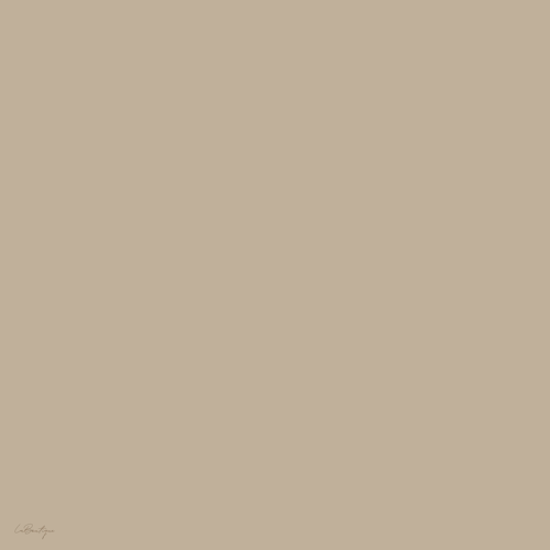 Düz Renk Sura İpek - 36 - 90x90