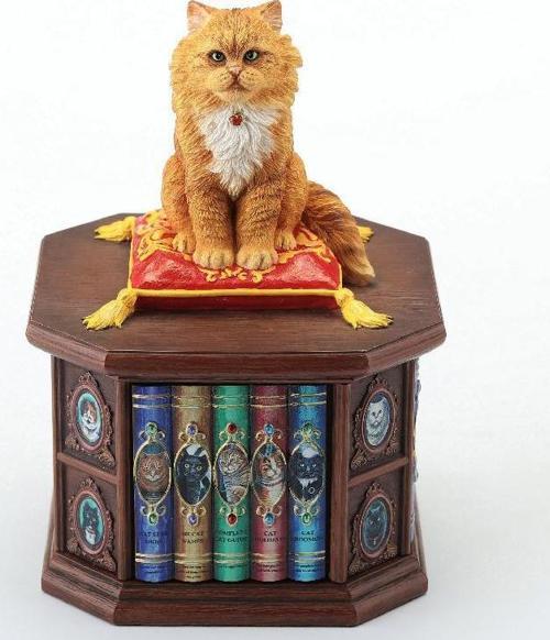 WISE KÜTÜPHANECİ KEDİ