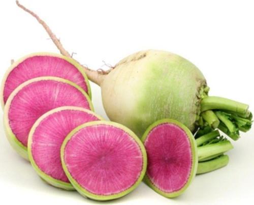 Çin Turp Tohumu (Vezir) 10Gr 1 Paket