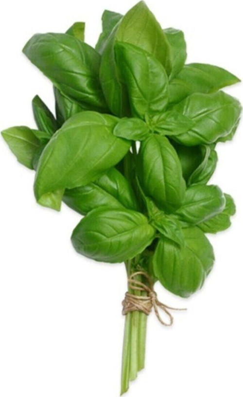 Yeşil Fesleğen 25Gr'Lık 1 Paket Taze Baharat