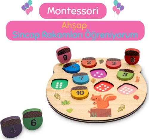 Eğitici Ahşap Sincap Rakamları Öğreniyorum Oyunu - Çocuklar Için Montessori Gelişim Oyuncağı