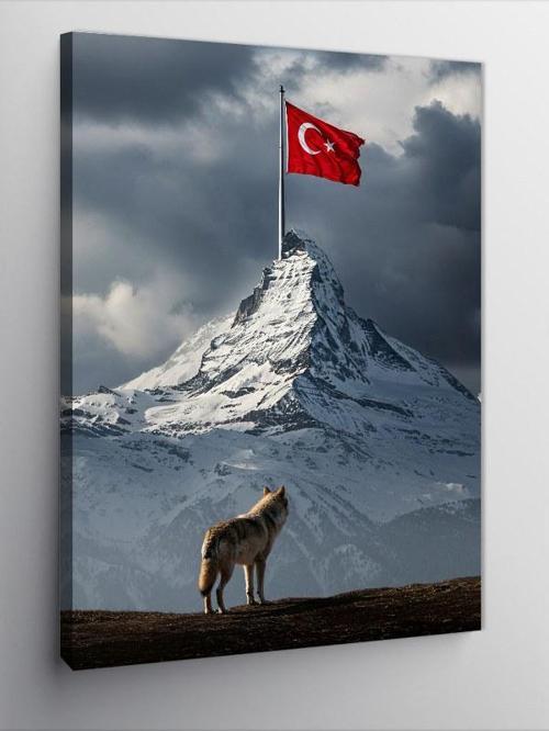 Kanvas Tablo Türk Bayrağı ve Dağ