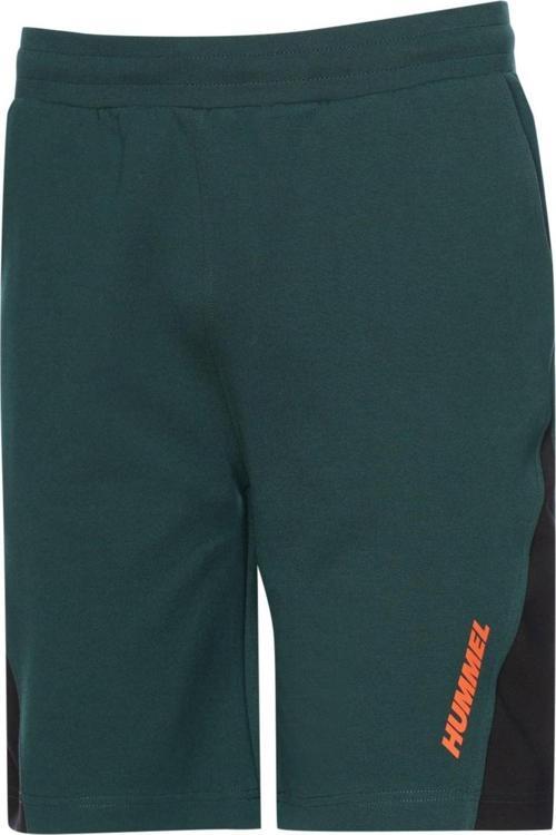 Stark Shorts Erkek Şort