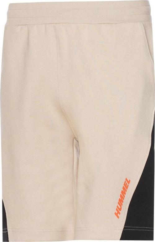 Stark Shorts Erkek Şort