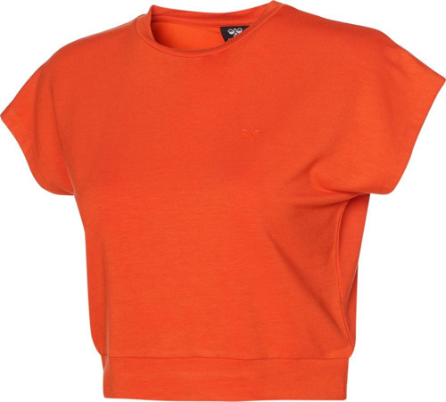 Allessıa Crop T-Shırt S/S Kadın Kısa Kol T-Shırt