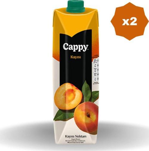 Kayısı Nektarı 1 Lt - (2 Adet)