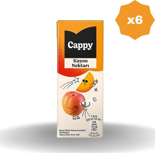 Kayısılı Meyve Nektarı 200 Ml - (6 Adet)