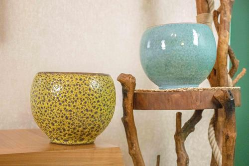 Hardal Sarısı Şekilli Ve Turkuaz Artistik Çift Sırlı İç Ve Dış Mekan Kullanımlı Toprak Terrakota Saksı Sa