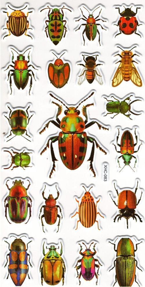 Sticker Kabartmalı Stiker Çıkartma Etiket (XHC083)-18x9 cm- Böcek Türleri