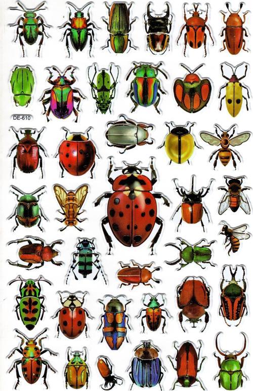 Sticker Kabartmalı Yaldızlı Stiker Çıkartma Etiket (DE610)-16x25 cm- Böcek Türleri