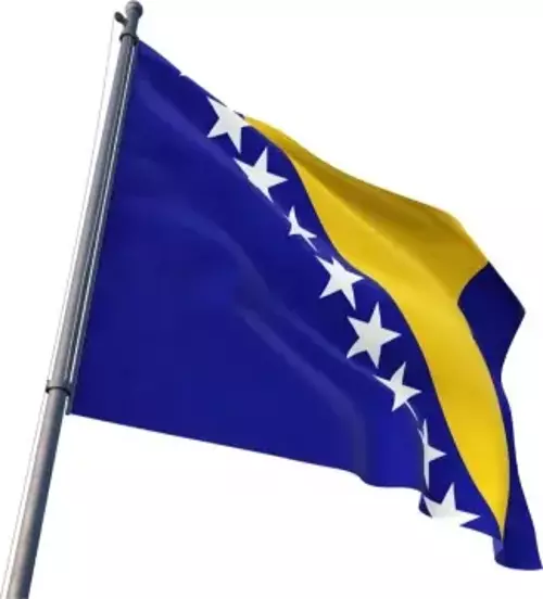 Bosna Hersek Bayrağı 70x105 cm