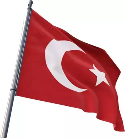 Türk Bayrağı 70x105 cm Gönder Bayrağı