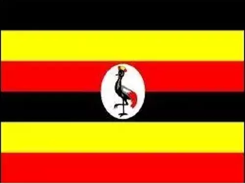 Uganda Bayrağı 100x150 cm