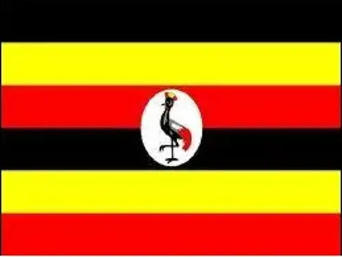 Uganda Bayrağı 50x75 cm