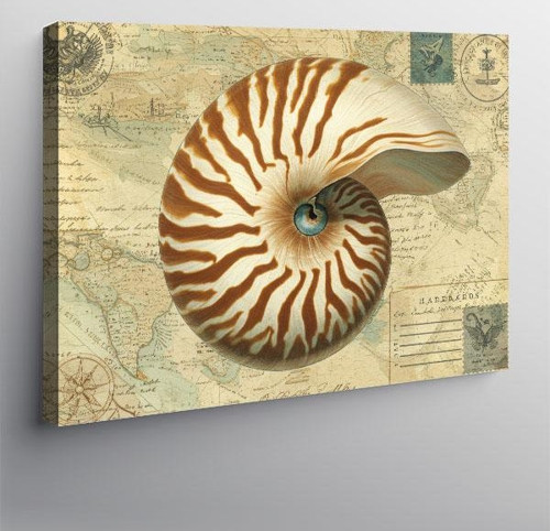 Kanvas Tablo Fosil Nautilus Kabuk